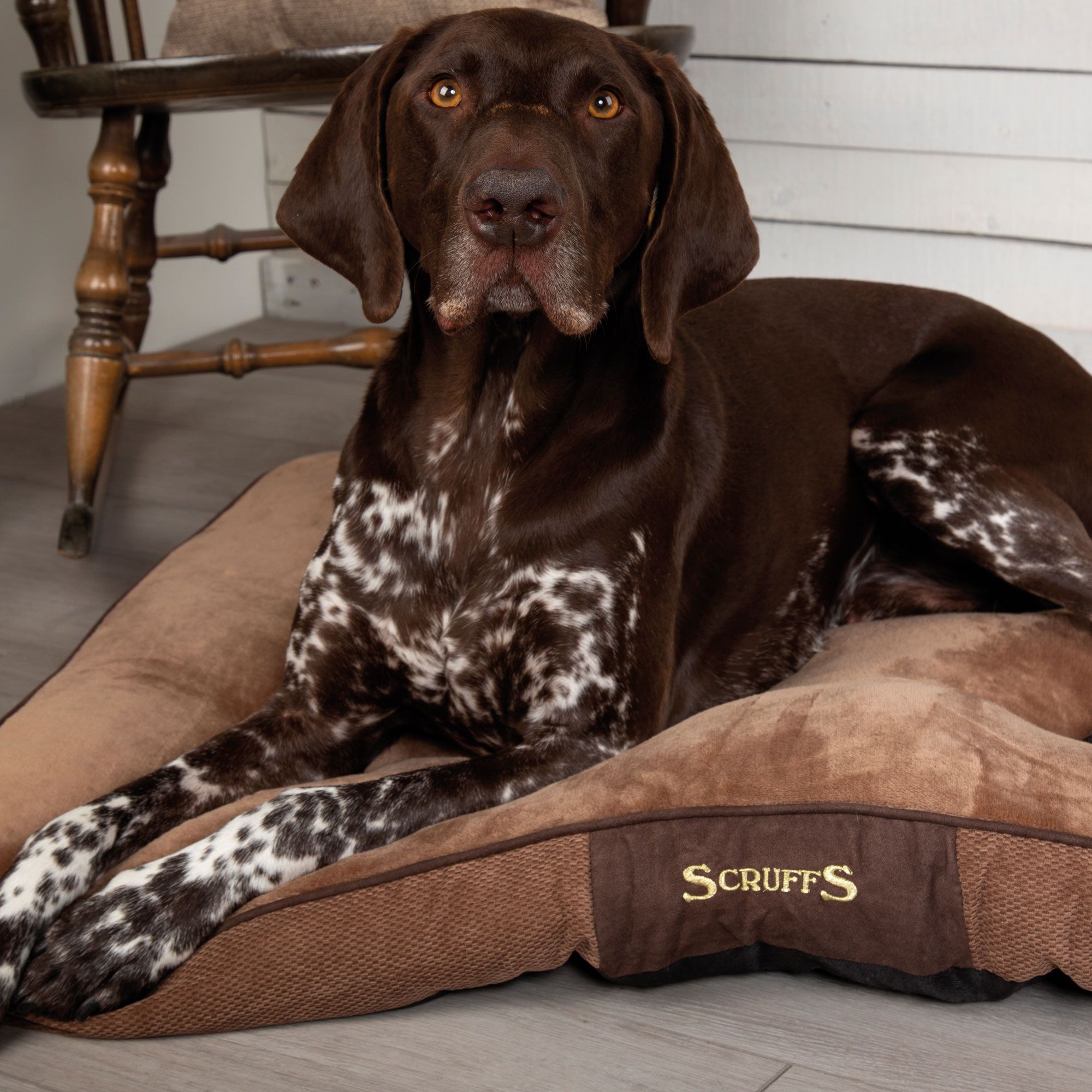 Hundekissen SCRUFFS® Chester - sehr kuschelig - Anti-Rutsch-Noppen - waschbar - 80x58x6cm