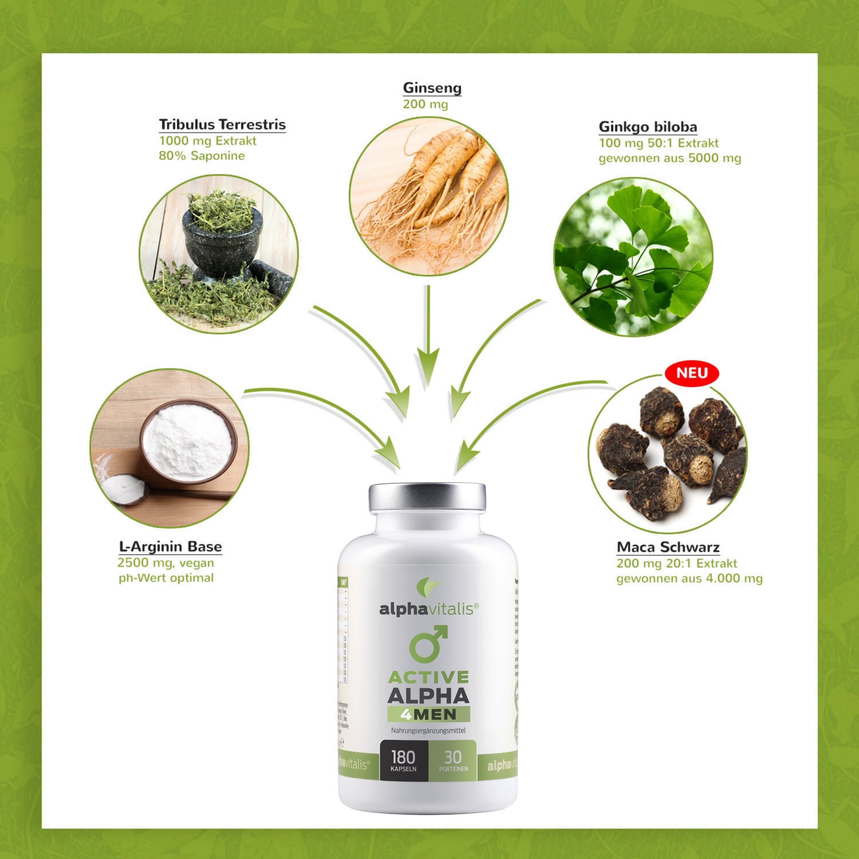 Alphavitalis Active ALPHA 4 Men: Übersicht der Inhaltsstoffe wie Tribulus Terrestris, Ginseng, Ginkgo Biloba, L-Arginin und schwarzes Maca.