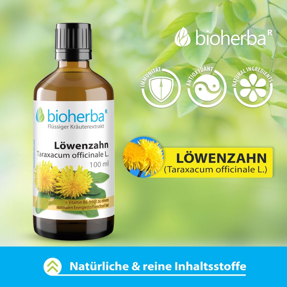 Bioherba Löwenzahn, Taraxacum officinale L. Tropfen. 100 ml. Mit Symbolen für Immunität, Antioxidantien und natürliche Inhaltsstoffe.