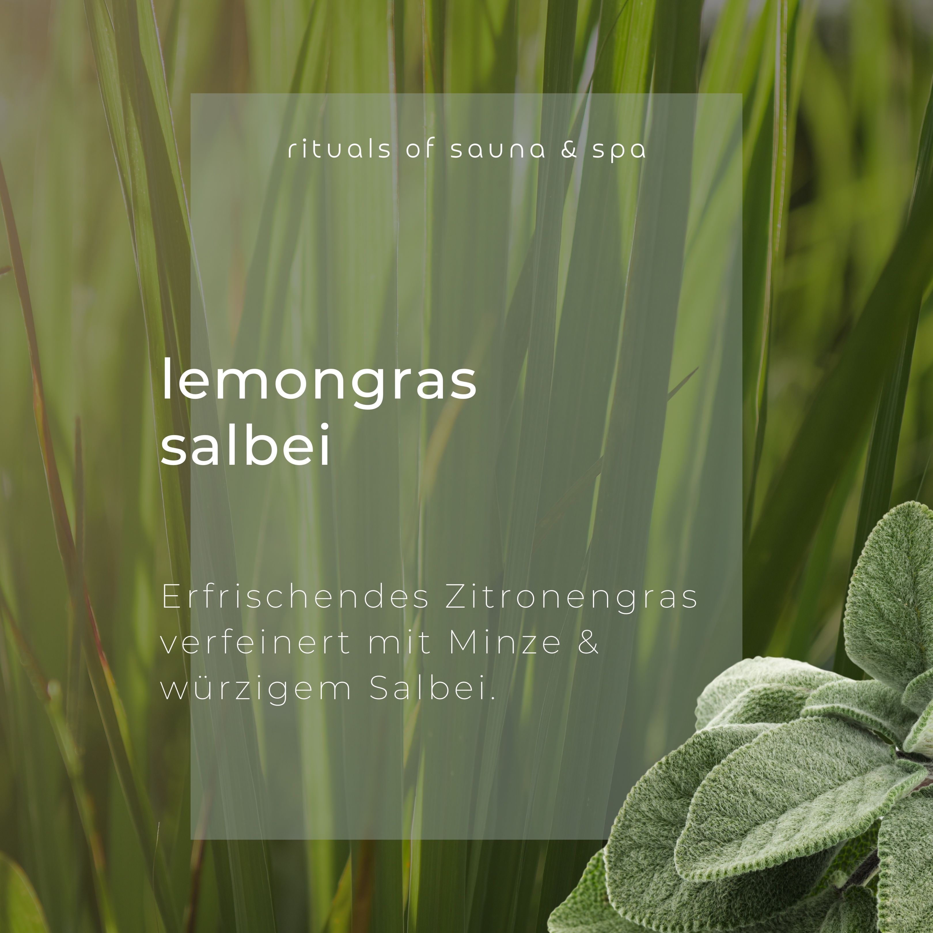 Wellow Sauna-Aufguss Zitronengras-Salbei