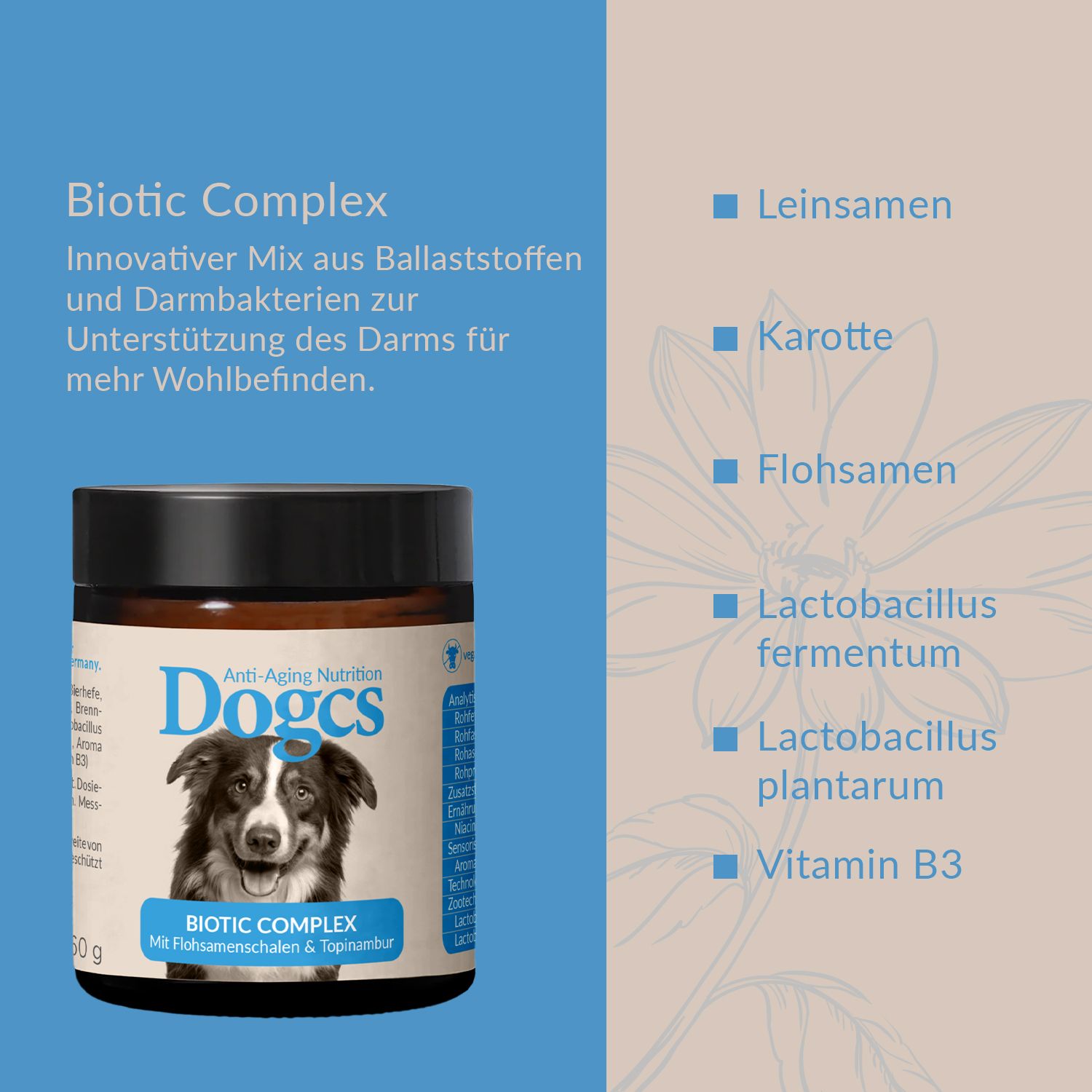 Dogcs Biotic Complex mit Prä- & Probiotika 60 g Pulver