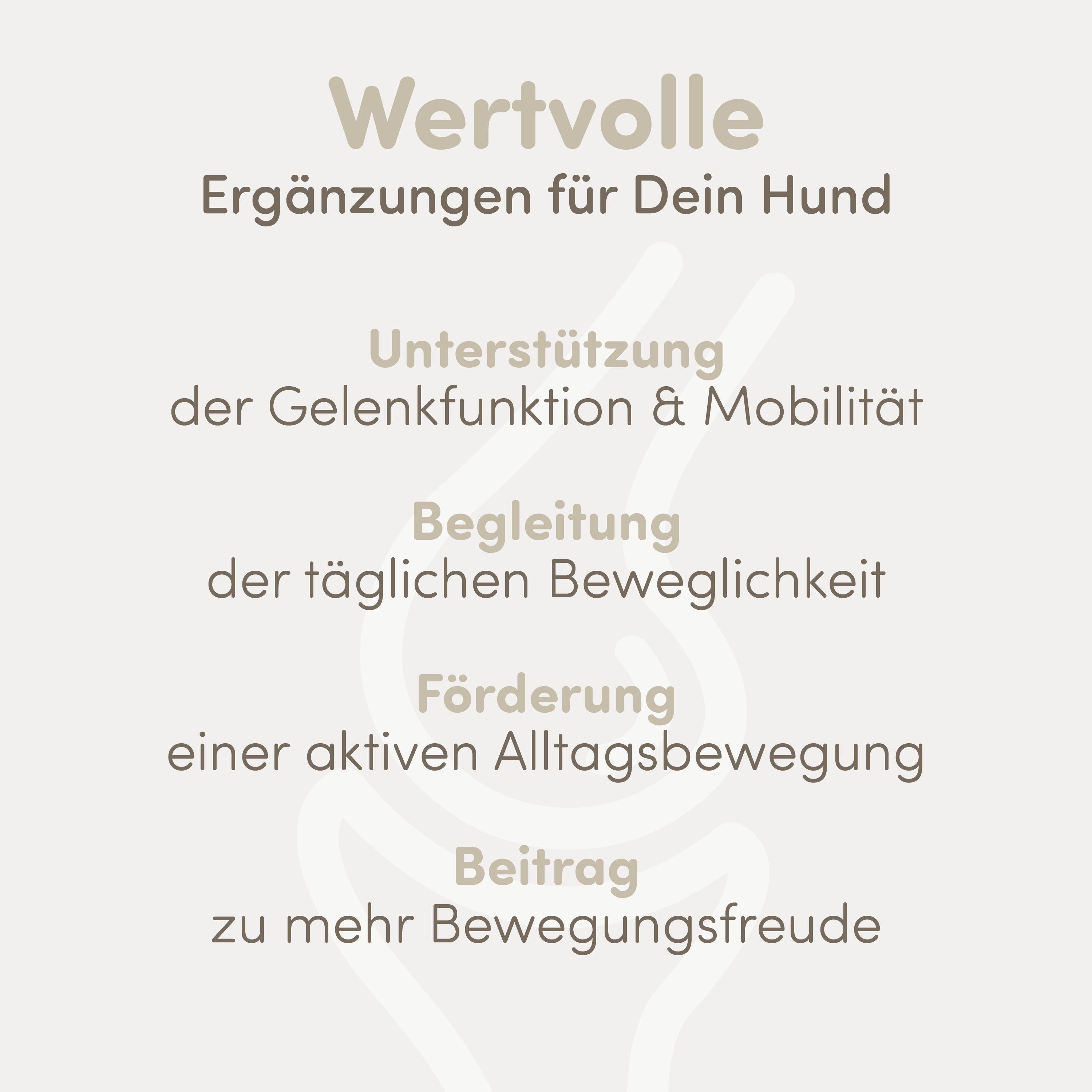 Text auf beigem Hintergrund: Wertvolle Ergänzungen für Dein Hund. Auflistung von Vorteilen für Hunde.