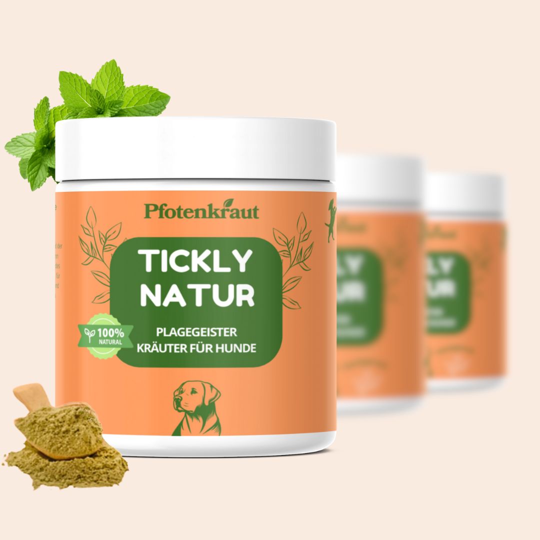 Drei Dosen Pfotenkraut Kräuter. Auf einer Dose steht "TICKLY NATUR". Daneben Kräuterpulver und Minze.
