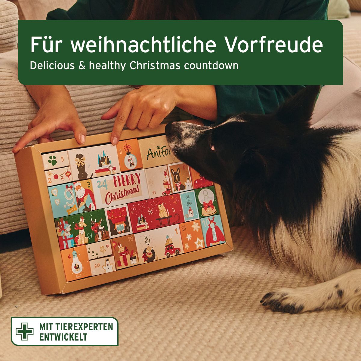 Person hält Adventskalender für Hunde. Hund schaut. Aufdrucke mit weihnachtlichen Motiven und der Aufschrift "Merry Christmas". Logo: Mit Tierexperten entwickelt.