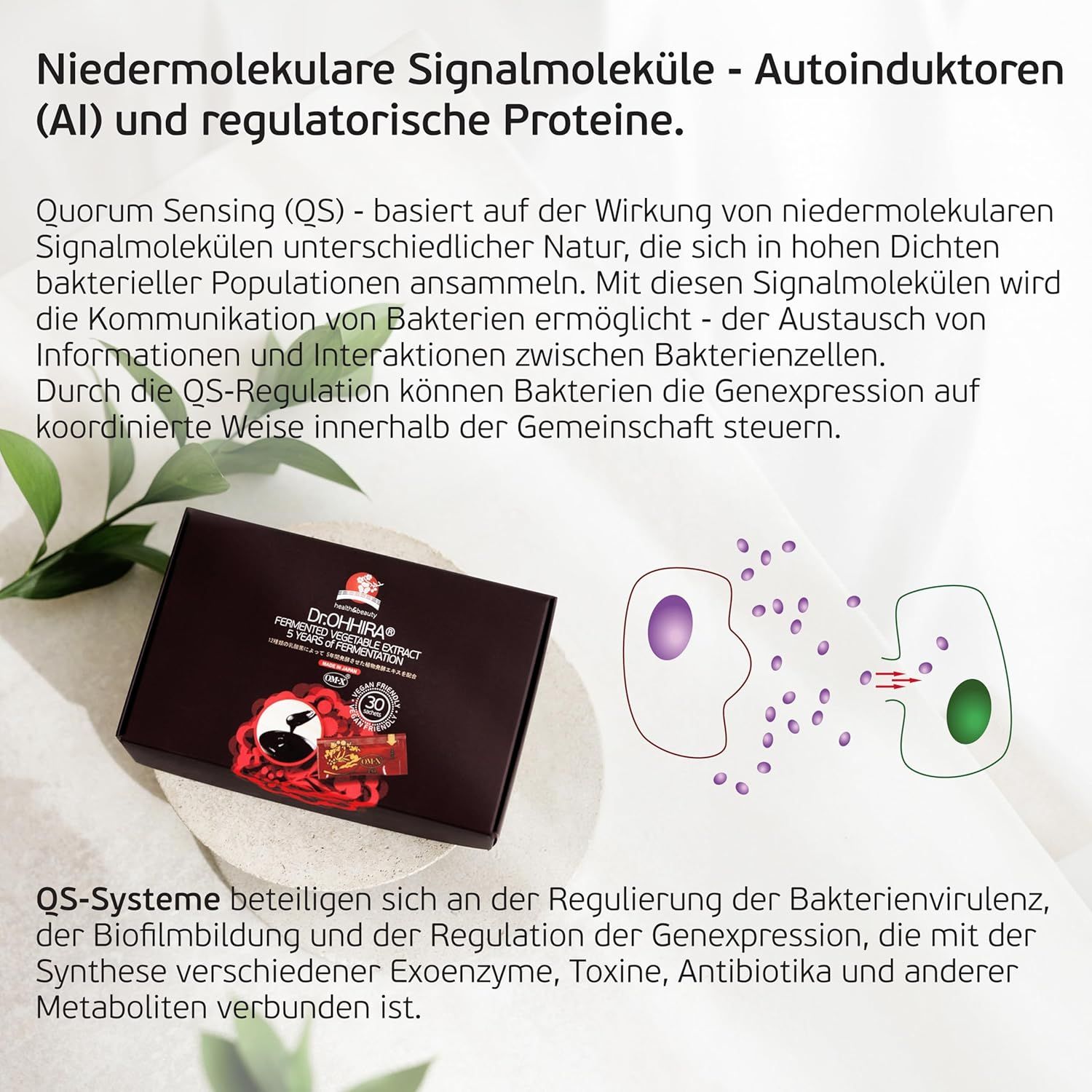 Dr. OHHIRA Fermented Vegetable Extract Beutel
