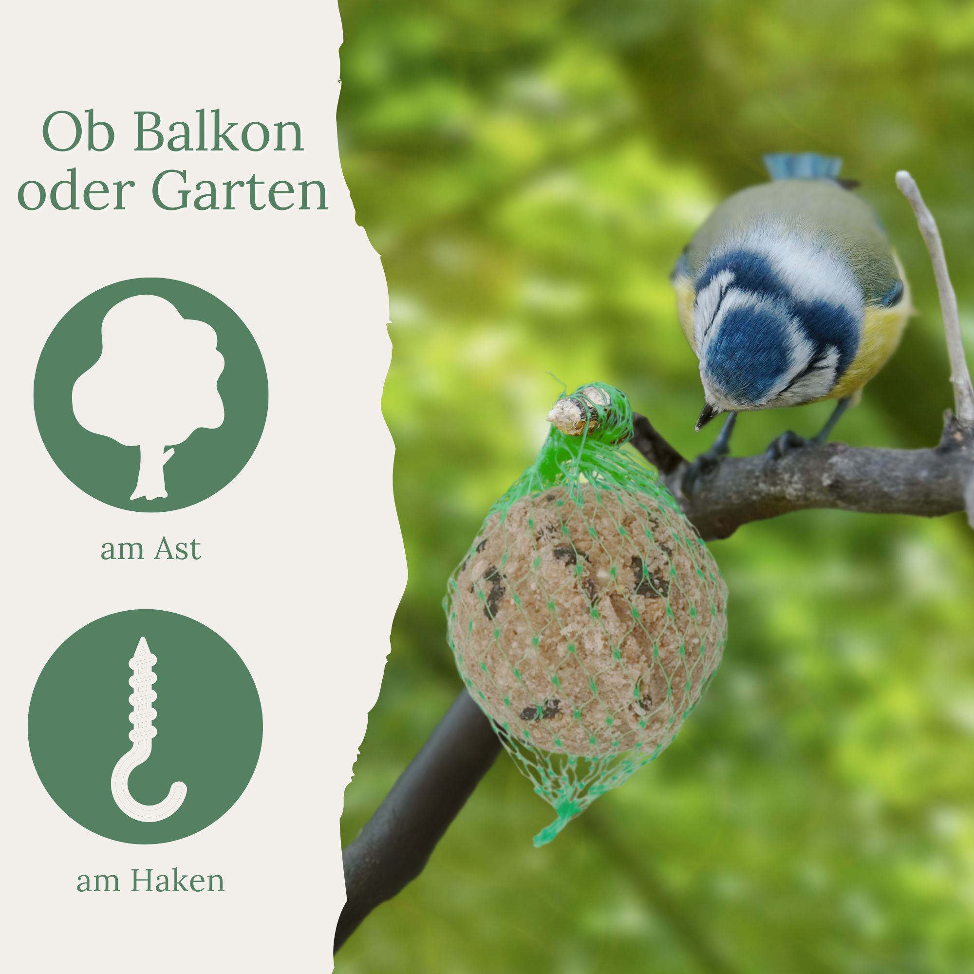 Blaumeise an einem Ast mit Meisenknödel im Netz. Symbole: Baum am Ast, Haken. Hintergrund: grüner Garten.