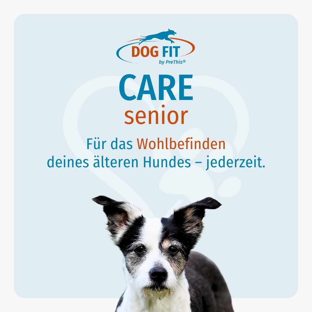 DOG FIT by PreThis® CARE senior » Ergänzung für ältere Hunde  (small)