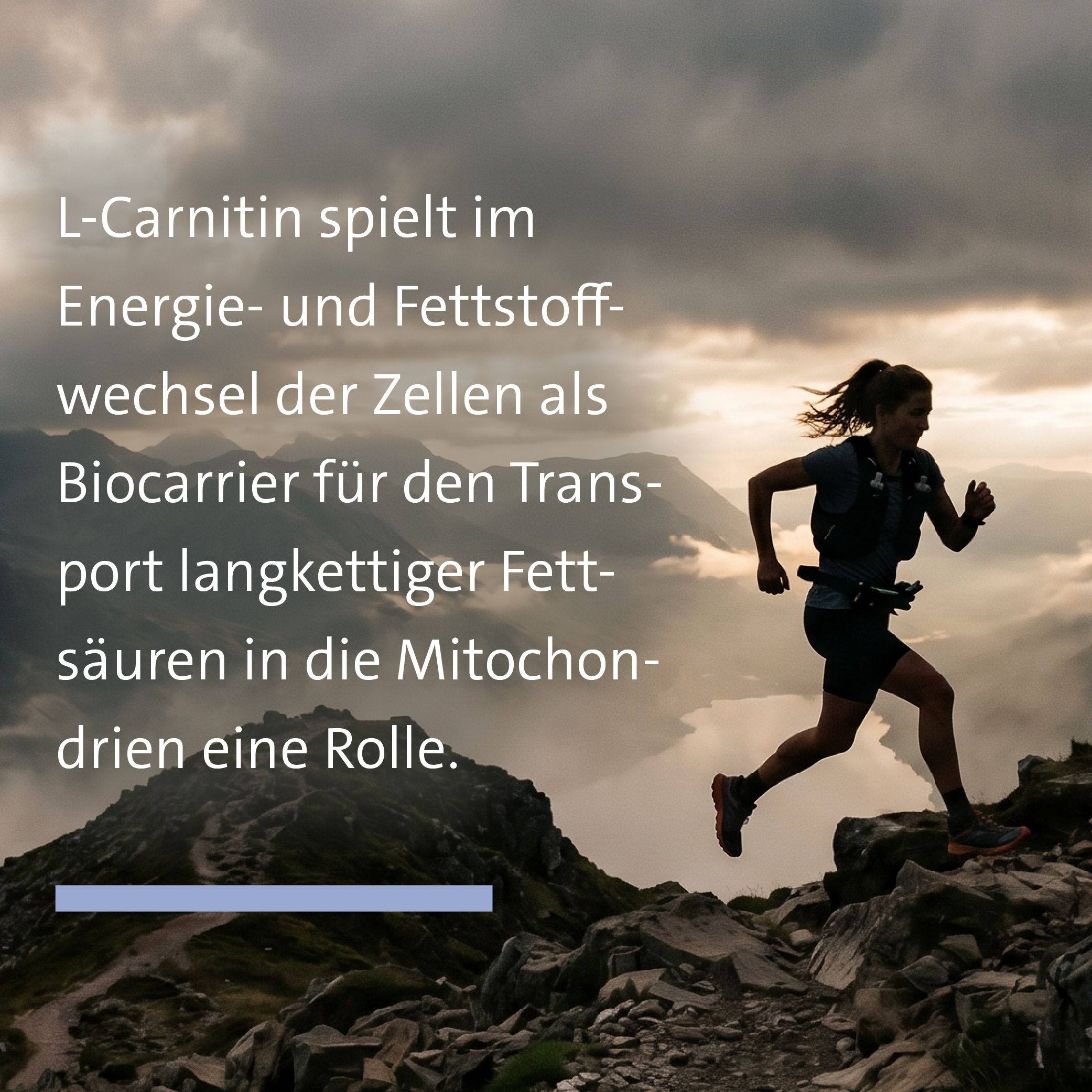 Sanct Bernhard L-Carnitin-Kapseln 400 mg
