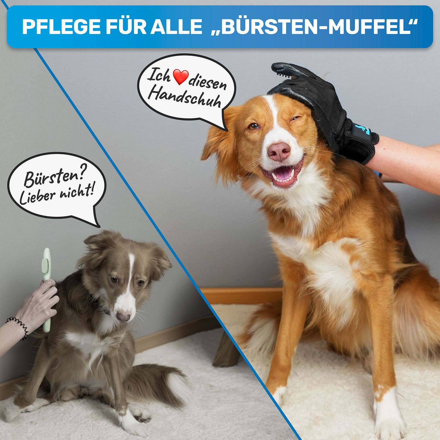 Zwei Hunde, einer mit Waschhandschuh, einer mit Bürste. Text: Pflege für alle „Bürsten-Muffel“. Sprechblasen: „Ich liebe diesen Handschuh“ und „Bürsten? Lieber nicht!“. 