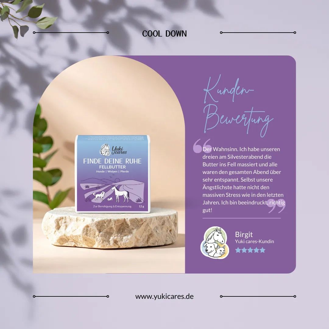 Produktverpackung auf Podest. Text: Finde deine Ruhe Fellbutter. Kundenbewertung mit Zitat. Logo und Sterne. Website-Adresse.