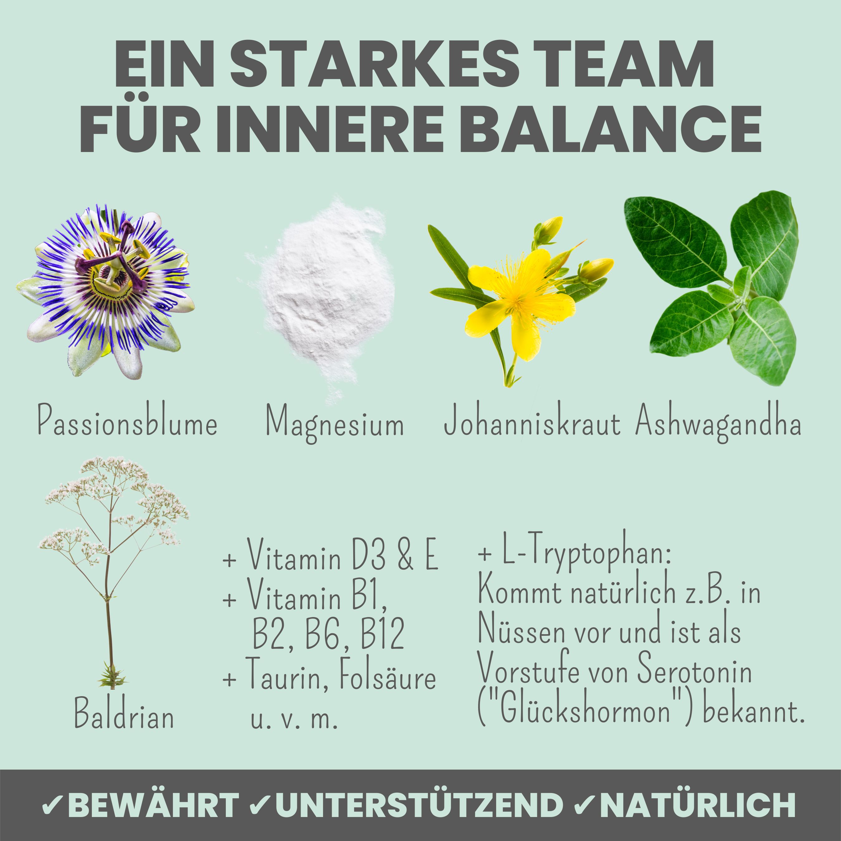 noms+ Wohlfühltabs für Hunde bei Stress, Angst, Unruhe und Hyperaktivität 110 g