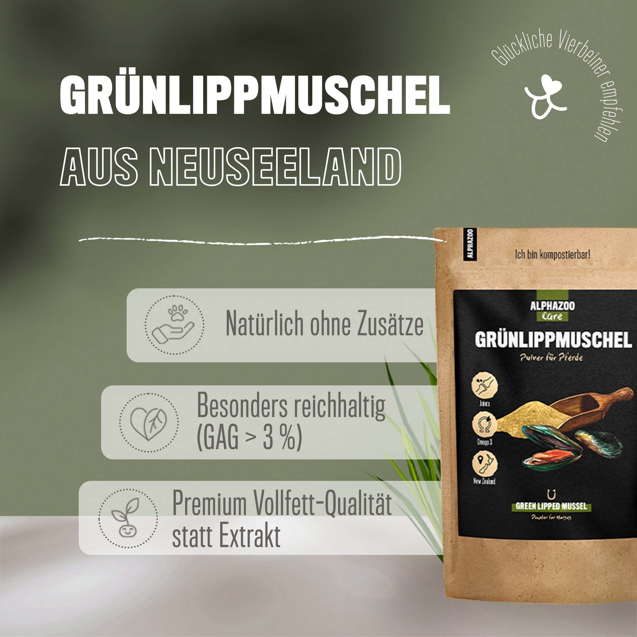 Alphazoo Grünlippmuschel-Pulver für Hunde und Katzen I Muschelpulver gegen Arthrose 500 g Pulver