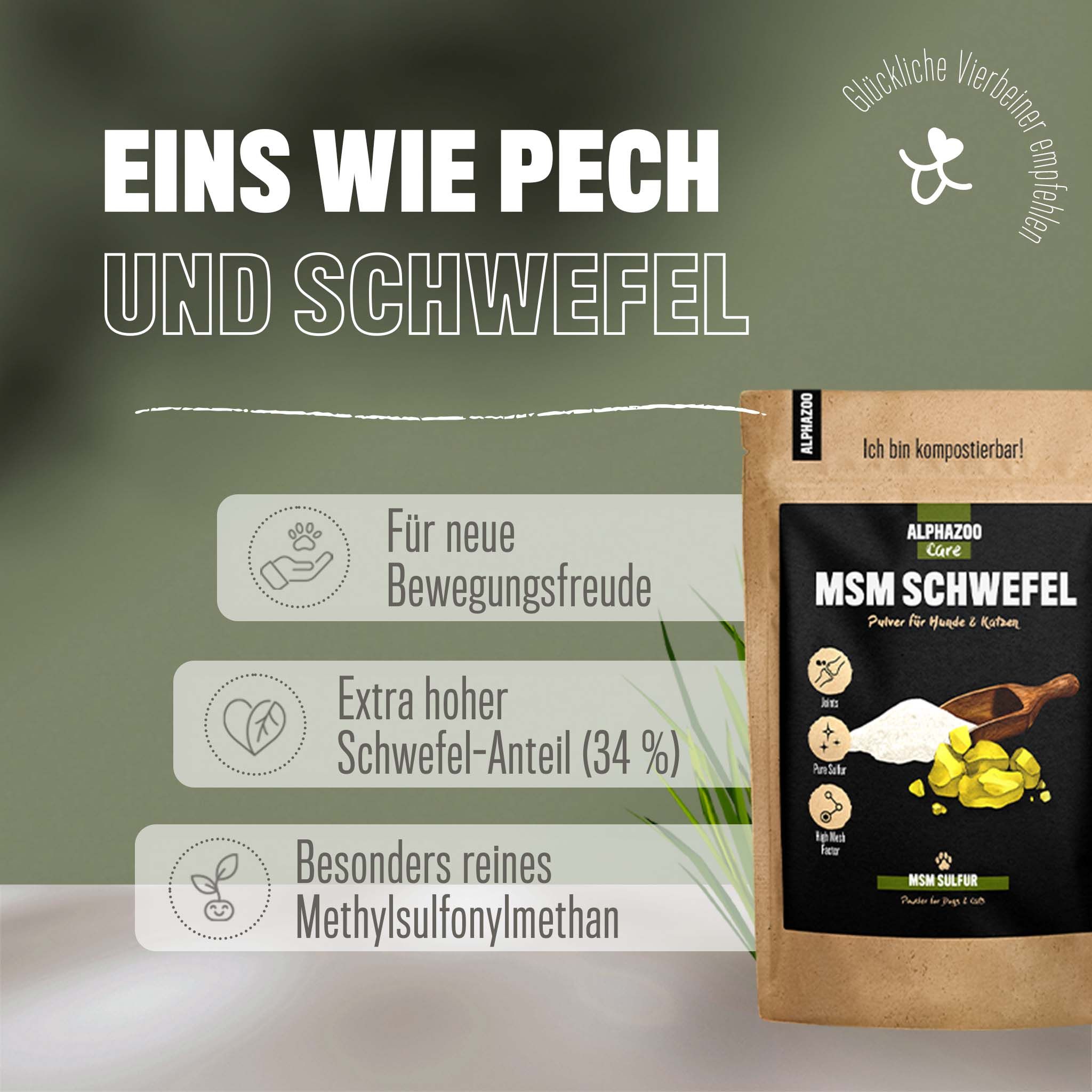 Alphazoo MSM Schwefel Pulver für Hunde und Katzen 250 g