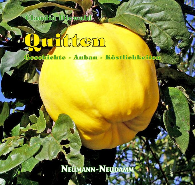 Buchcover mit gelber Quitte, Blättern und Text. Titel: Quitten. Autorin: Claudia Diewald. Verlag: Neumann-Neudamm. Untertitel: Geschichte - Anbau - Köstlichkeiten.