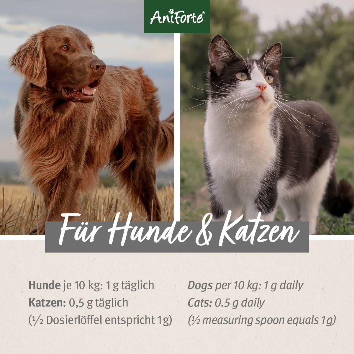 Foto von Hund und Katze. Text: Für Hunde & Katzen. Dosierung: 1g täglich für Hunde, 0,5g täglich für Katzen.
