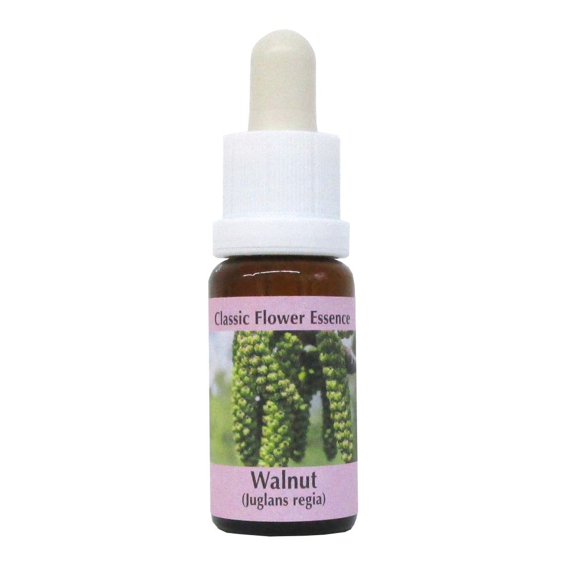 PHI Essences - Walnut Bachblüte Nr. 33