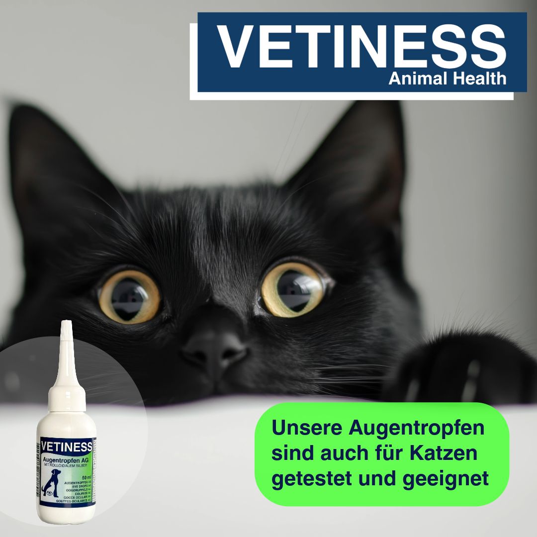 Schwarze Katze blickt über eine Kante. Daneben eine Flasche Augentropfen. Text: Unsere Augentropfen sind auch für Katzen getestet und geeignet.