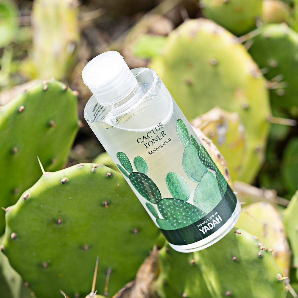 Transparente Flasche mit Cactus Toner. Aufschrift: Cactus Toner, YADAH. Abbildung von Kakteen. Auf Kaktusblättern platziert.