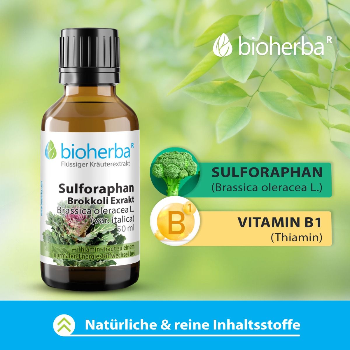Sulforaphan Brokkoli Exrakt Tropfen Tinktur 50 ml PZN 18217869