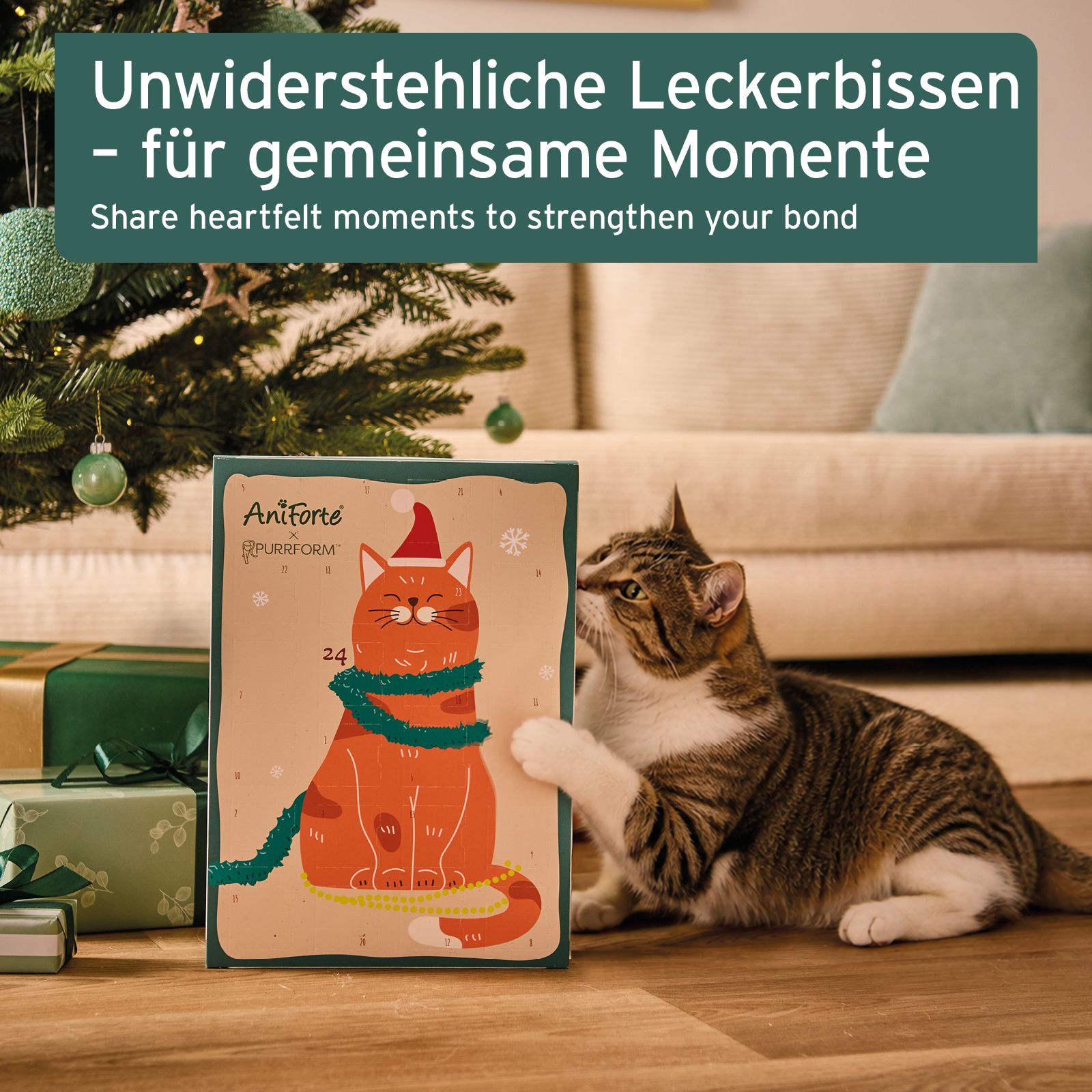 Ein Adventskalender für Hunde mit einem Hund, der einen Weihnachtsmannhut und eine Weihnachtskugel hält.