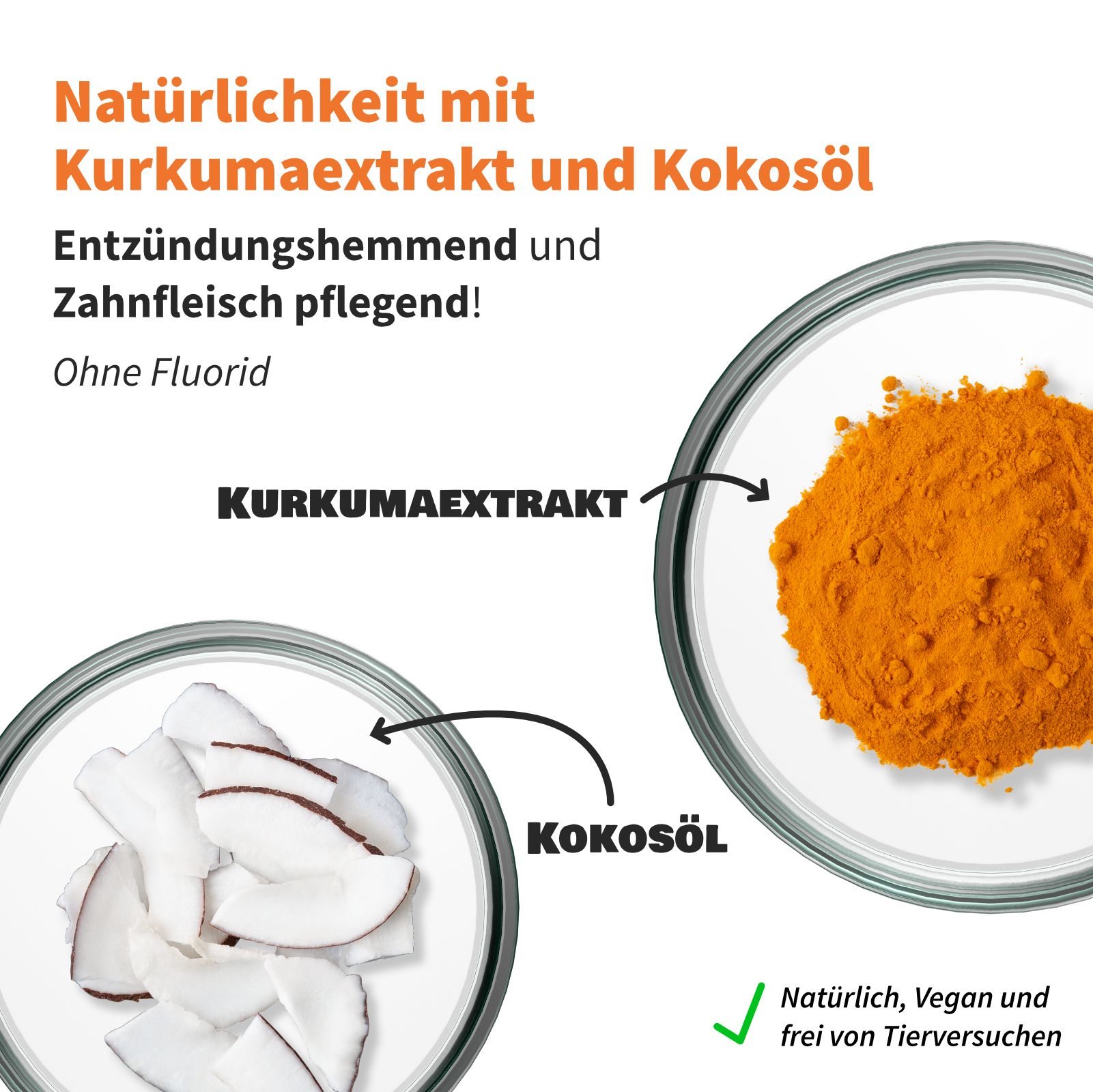 Zwei Schalen mit Kurkumaextrakt und Kokosöl. Text: Entzündungshemmend, zahnfleischpflegend, ohne Fluorid. Vegan.