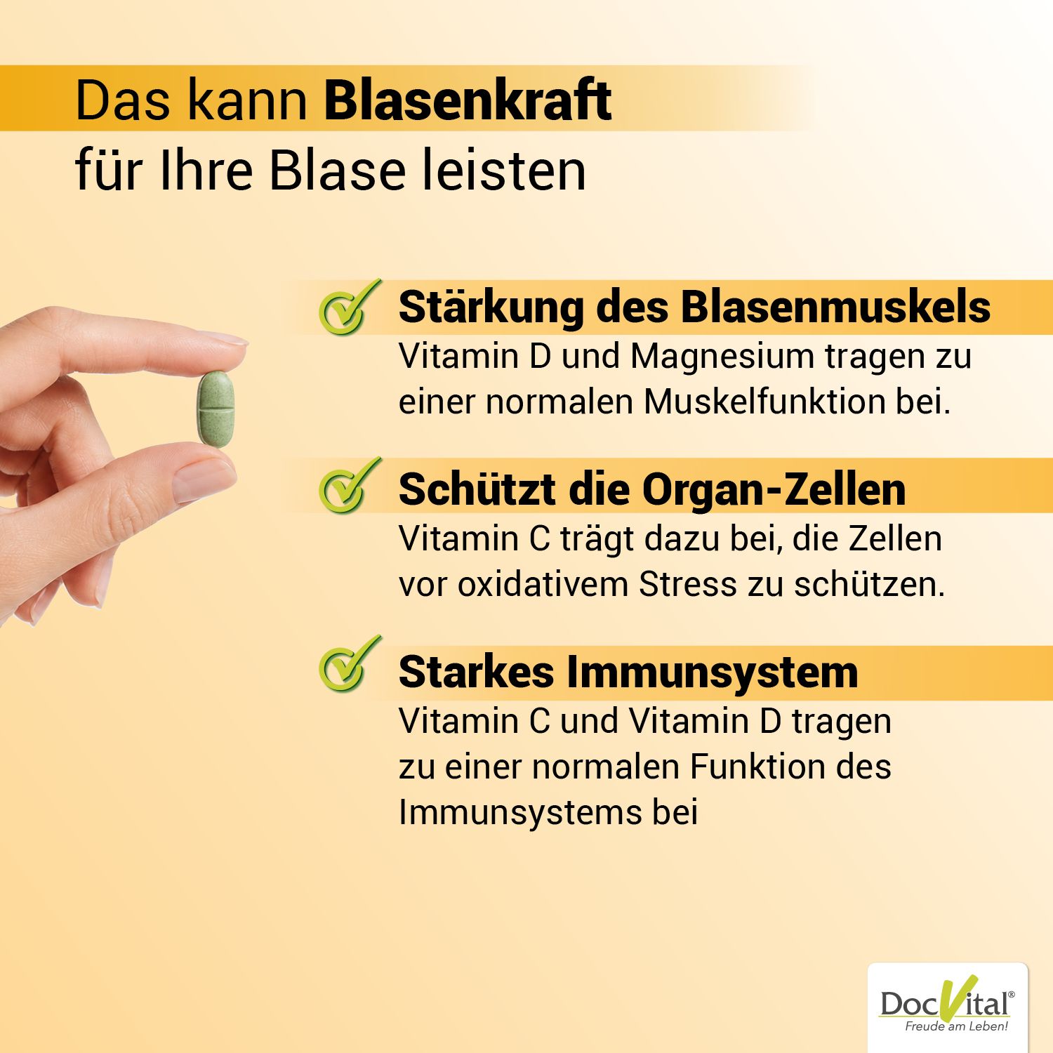 Grafik mit Icons zu Stärkung des Blasensmuskels, Schutz der Organ-Zellen und starkem Immunsystem.