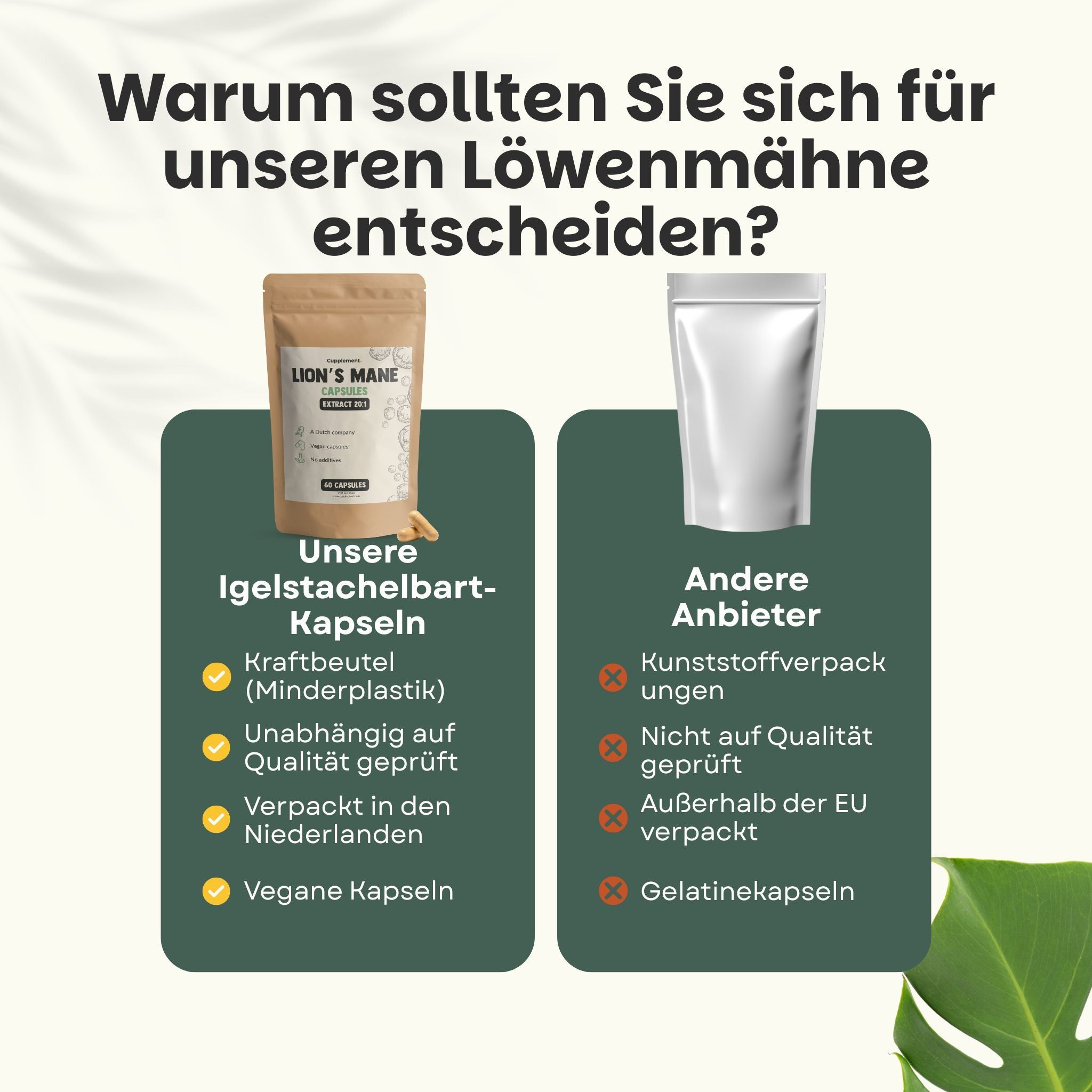Vergleich: Löwenmähnen-Kapseln vs. andere Anbieter. Kraftbeutel, vegane Kapseln, vs. Plastikverpackung, Gelatinekapseln.