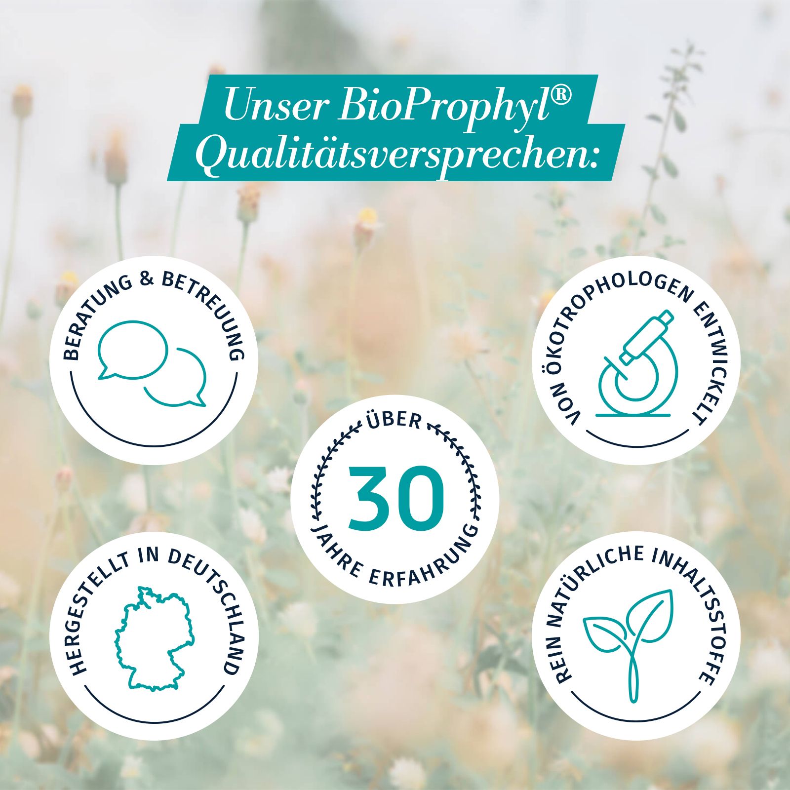 Kreisförmige Icons. Beratung & Betreuung, Ökotrophologen entwickelt, hergestellt in Deutschland, 30 Jahre Erfahrung, reine natürliche Inhaltsstoffe.