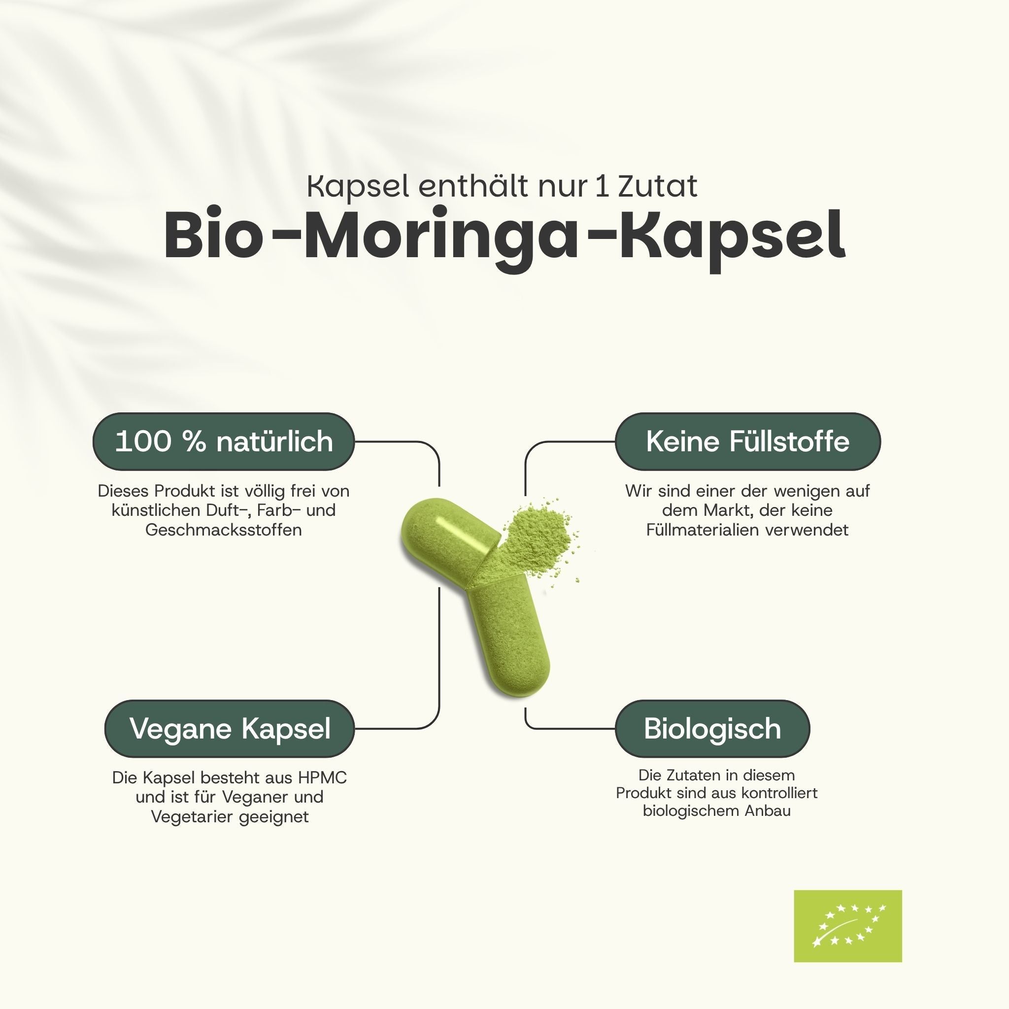 Grafik mit grünen Kapseln und Pulver. Aufschrift: Bio-Moringa-Kapsel. 100% natürlich, vegan, biologisch.