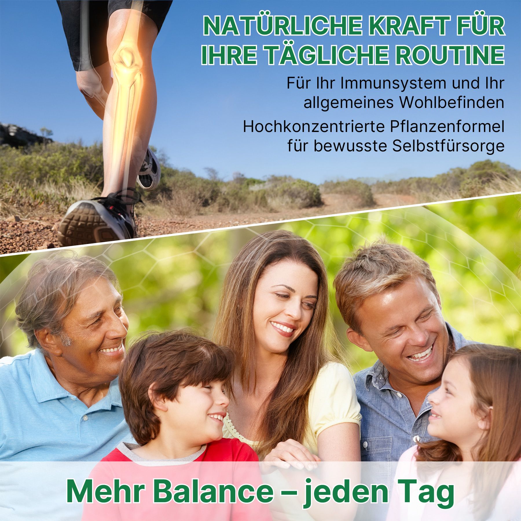 ALIVER Wildes Oregano Öl Liquid Tropfen mit Carvacrol Vegan Natur
