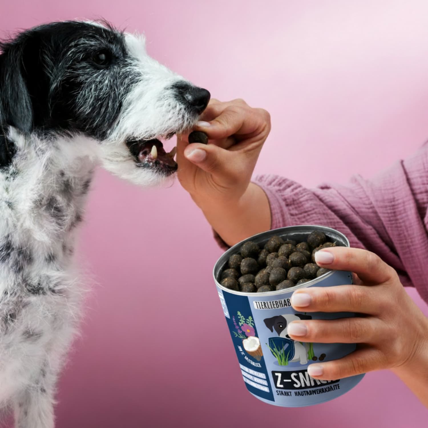 Hund frisst Z-Snack-Kugel aus Dose. Dose mit Hund-Illustration. Rosa Hintergrund.