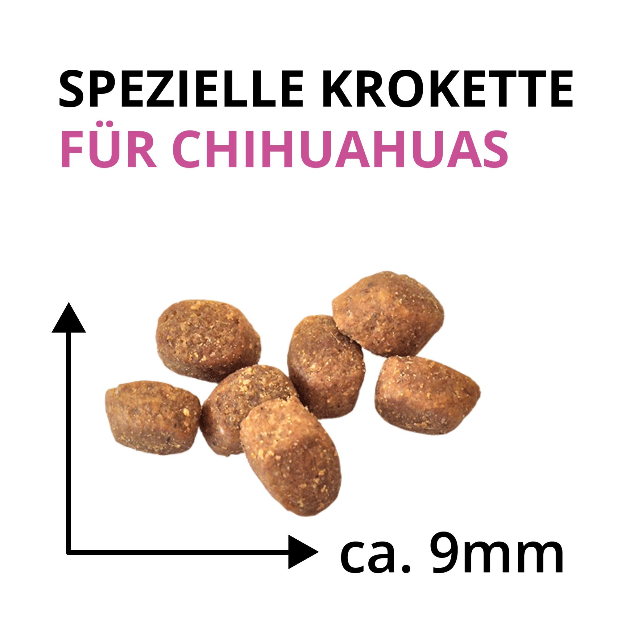 Nahaufnahme von speziellen Chihuahua-Kroketten, ca. 9mm groß.