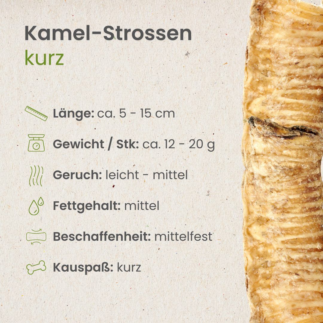 Zwei getrocknete Kamel-Strossen auf weißem Hintergrund.