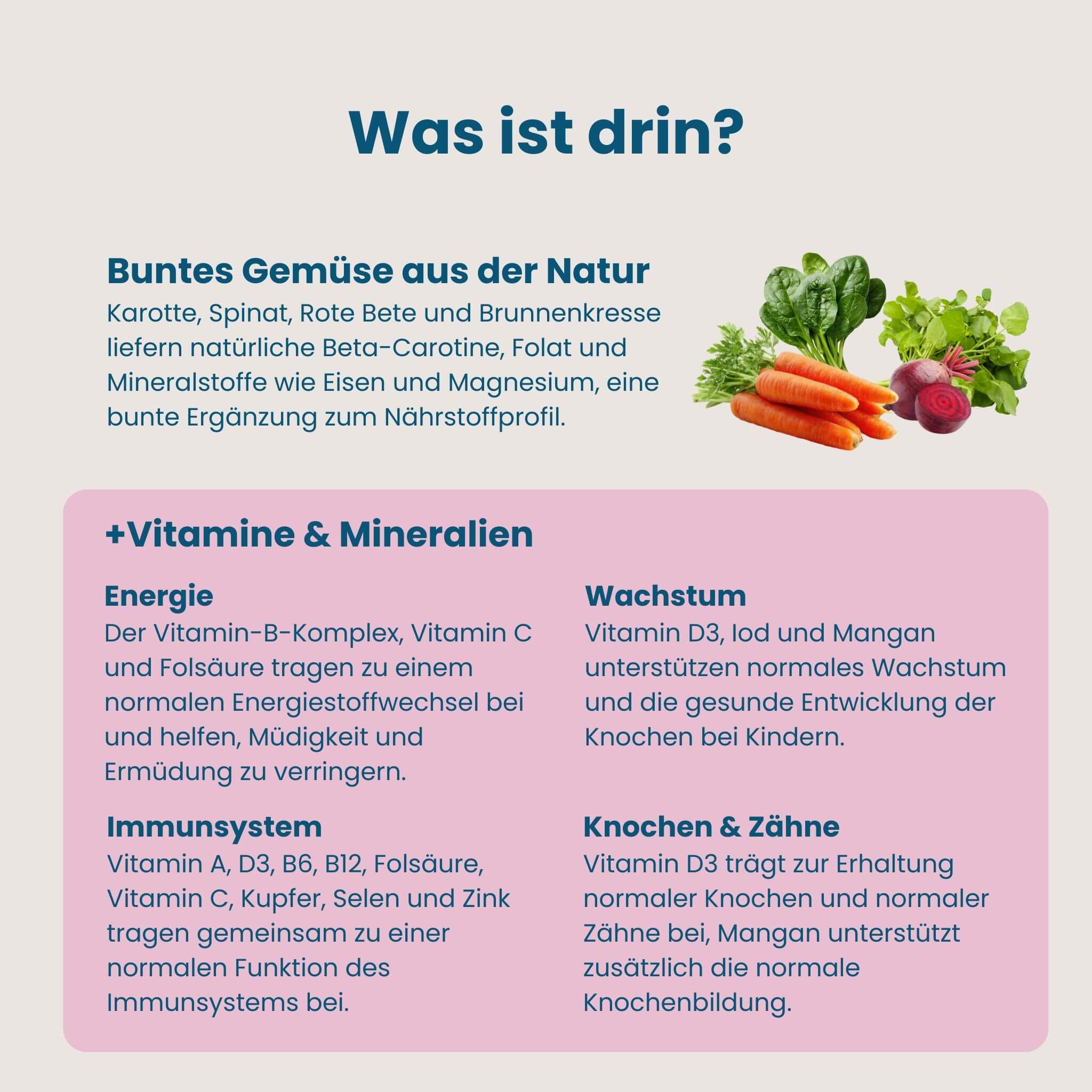 Übersicht der Inhaltsstoffe von Herby Family Mister Big Sirup mit Gemüse und Vitaminen.