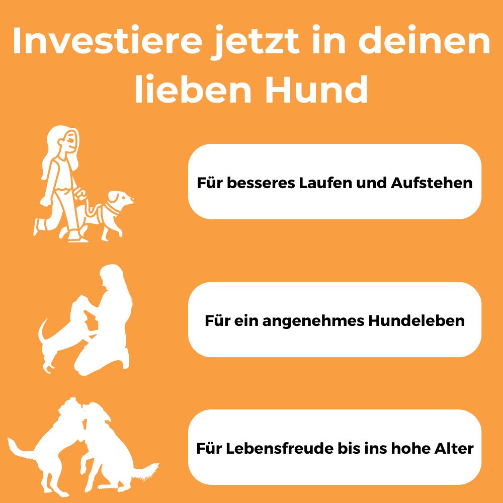 Dog-Native Kollagen-Hydrolysat für Hunde 500 g Pulver