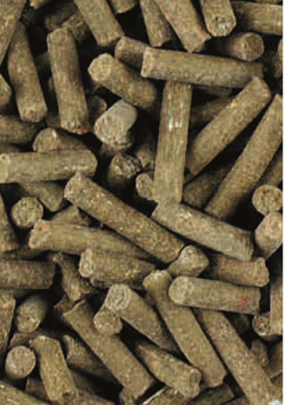LEXA Pferdefutter Arthro-Plus