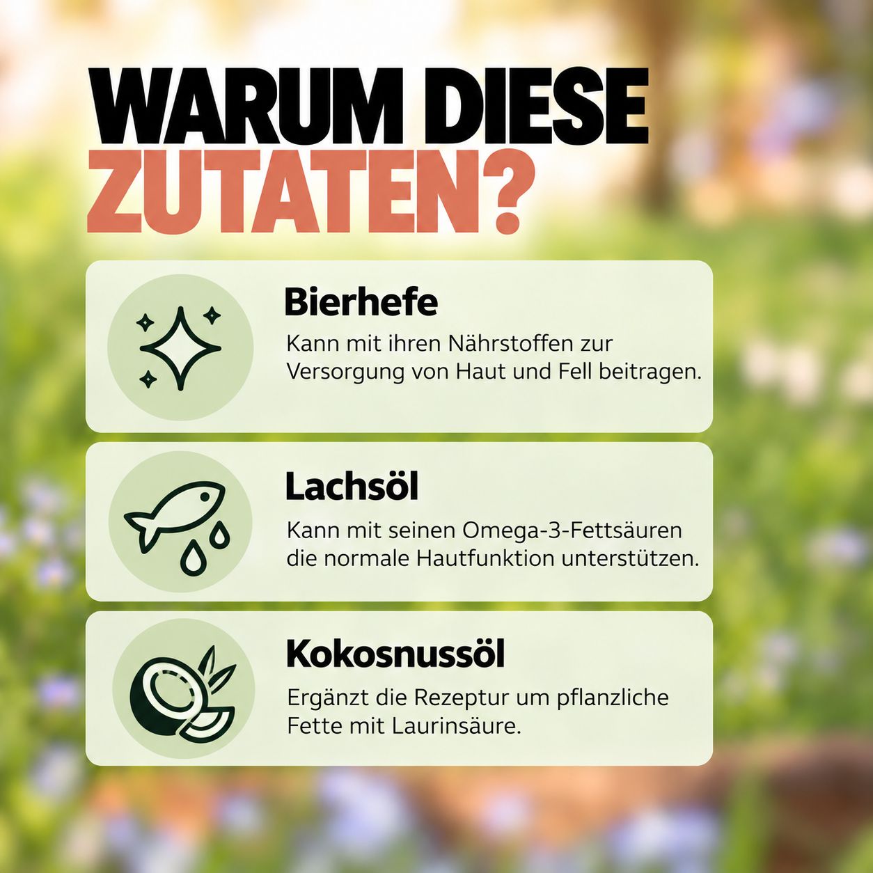 Wolfsbacher Natur Shine Dog: Haut & Fell Snack. Dose mit Hundesnacks, einige Snacks liegen daneben.