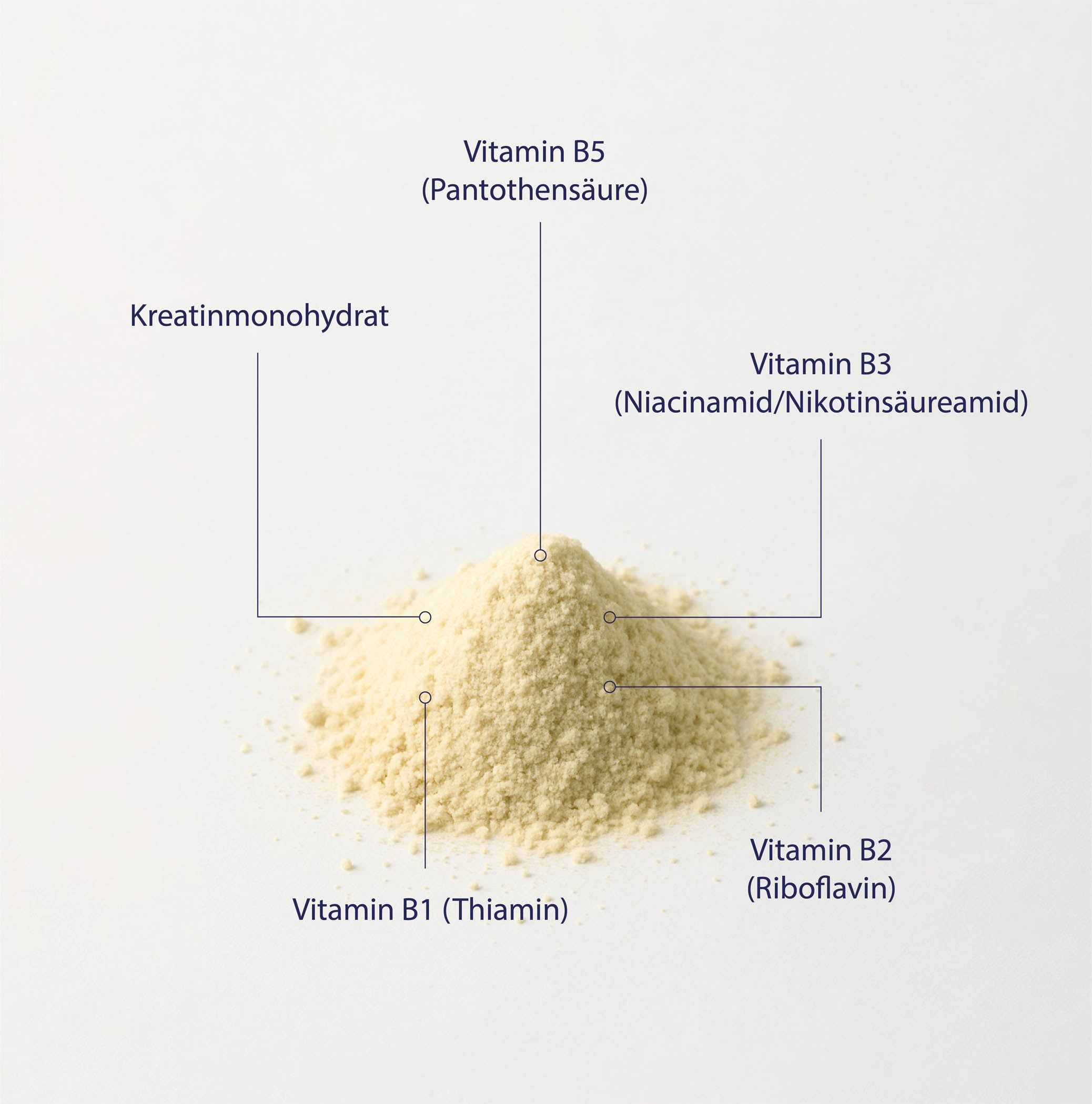 Pulver mit Beschriftungen für Kreatinmonohydrat, Vitamin B1, B2, B3 und B5.