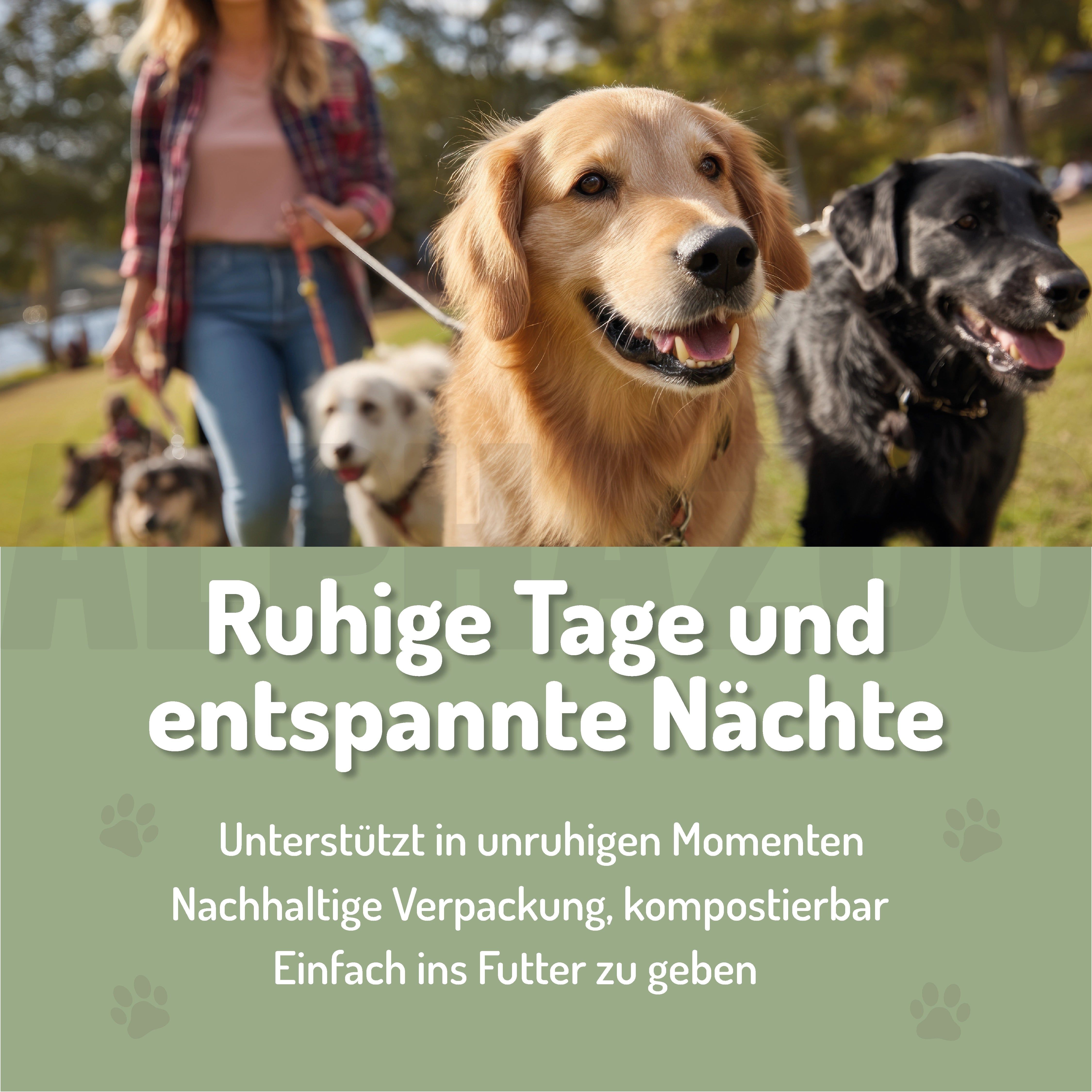 Hunde auf einer Wiese mit Text: Ruhige Tage und entspannte Nächte. Nachhaltige Verpackung, kompostierbar. Einfach ins Futter zu geben.