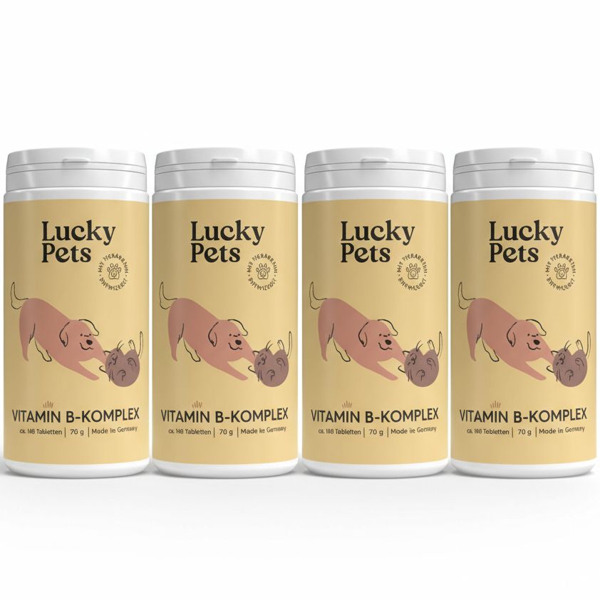 Vitamin B Komplex für Hunde – mit allen 7 B-Vitaminen für Starke Nerven & Immunsystem