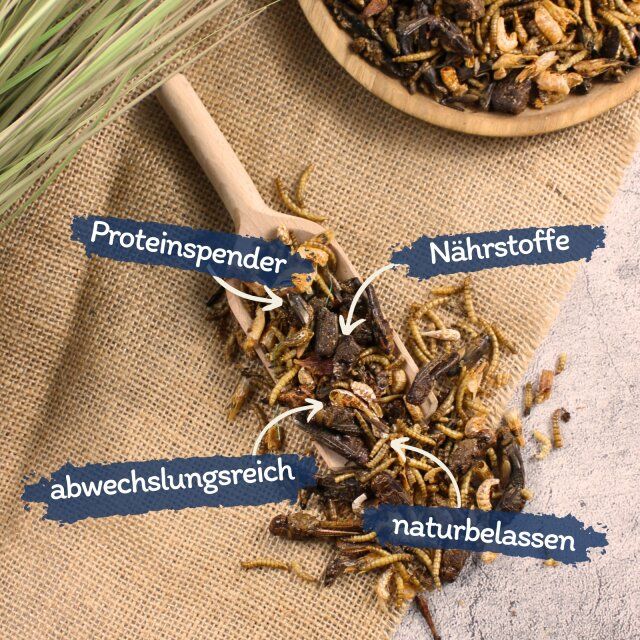 Nahaufnahme von Insektenmix auf einem Holzlöffel. Beschriftungen: Proteine, Nährstoffe, abwechslungsreich, naturbelassen. Hintergrund: Leinenstoff.