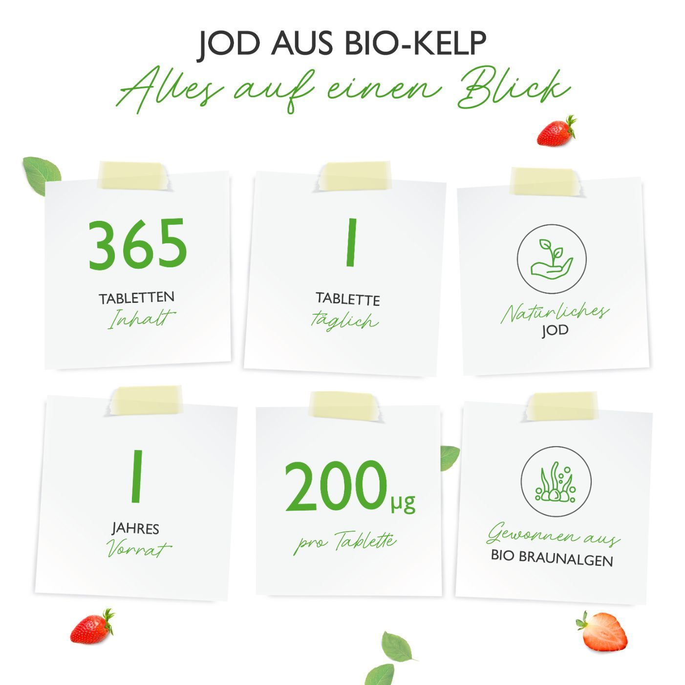 vit4ever - Bio Kelp Extrakt