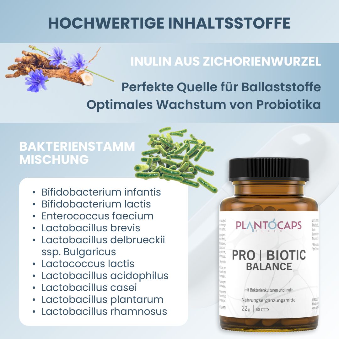 Braune Glasflasche mit Kapseln. Aufschrift: plantoCAPS PRO | BIOTIC BALANCE. Inhaltsstoffe: Inulin, Bakterienstamm-Mischung.
