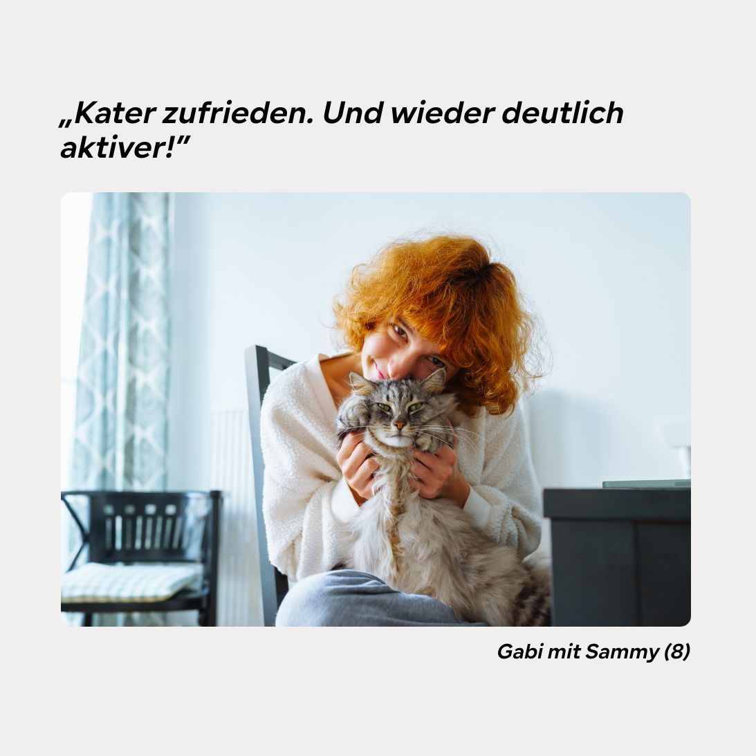 Gelenkpulver Senior HGMforte speziell für alte Katze von Tierarzt Dr. Knoop