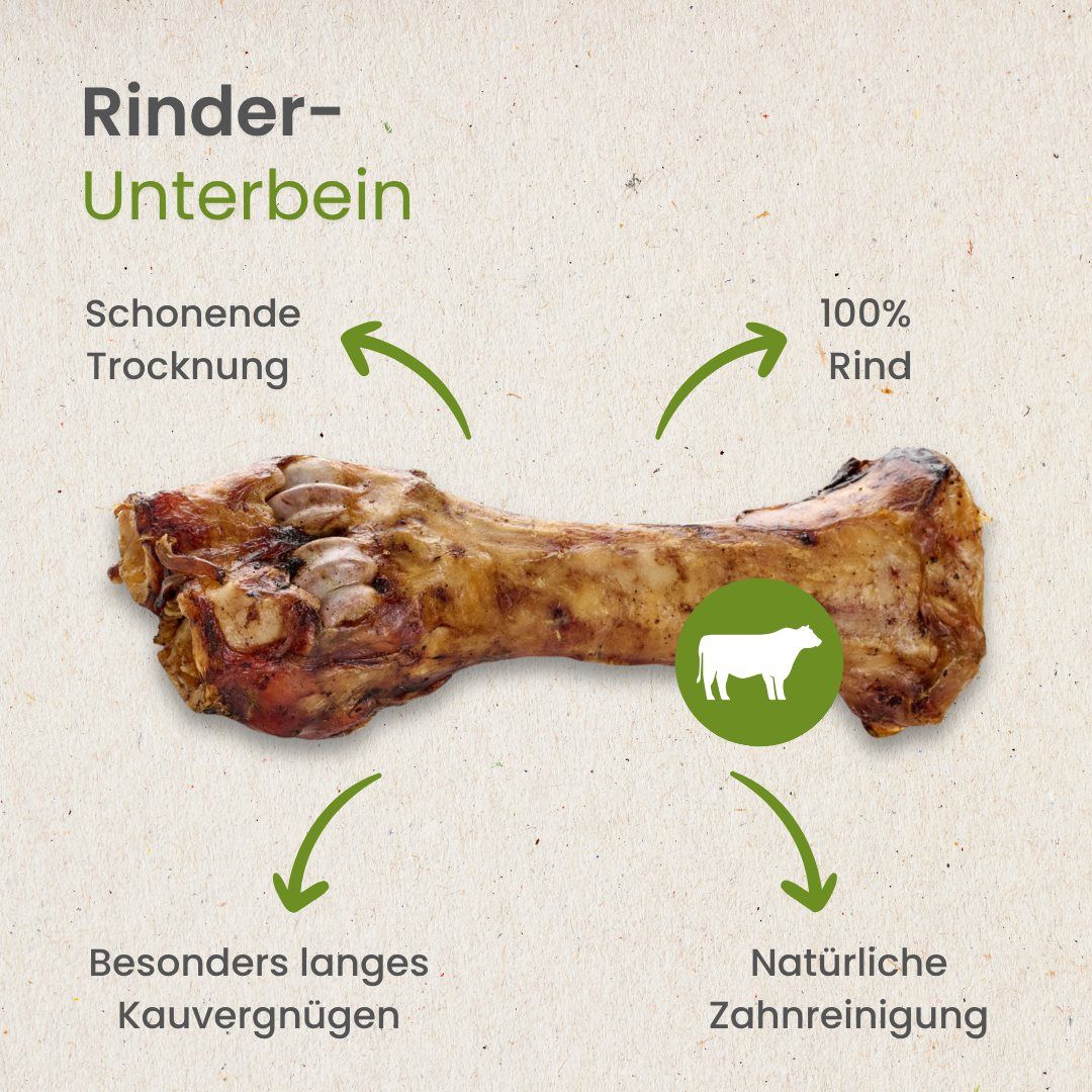 Rinderunterbein, schonend getrocknet, 100% Rind, für langes Kauvergnügen und natürliche Zahnreinigung.