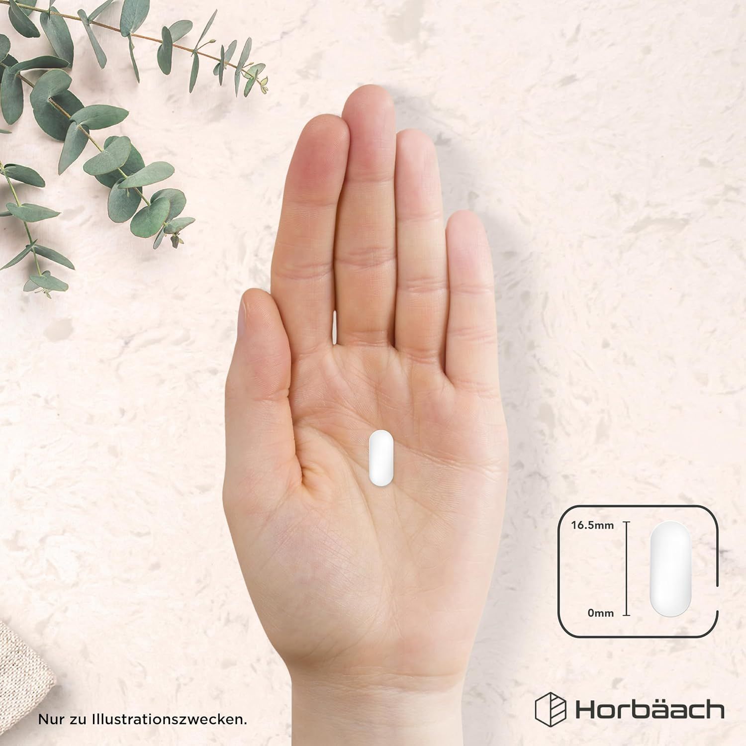 Horbäach Zink-Magnesium-B6-Komplex