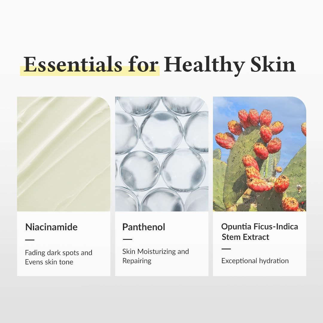 Drei Bilder: Niacinamid, Panthenol, Opuntia Ficus-Indica Stem Extract. Text: Essentials for Healthy Skin.