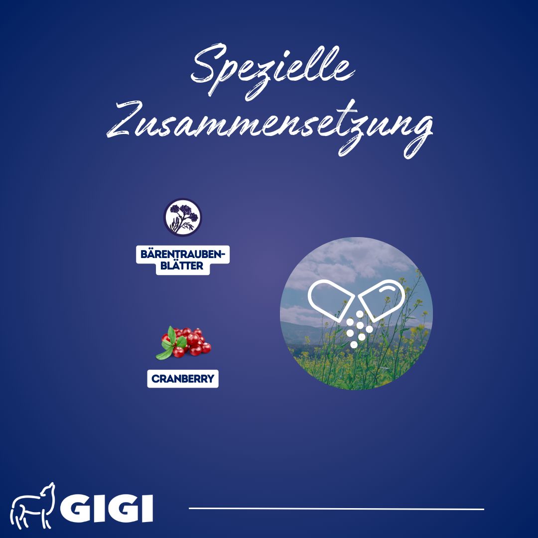 Grafik mit Inhaltsstoffen: Bärentraubenblätter, Cranberry. Kapsel-Symbol. Marke: GIGI.