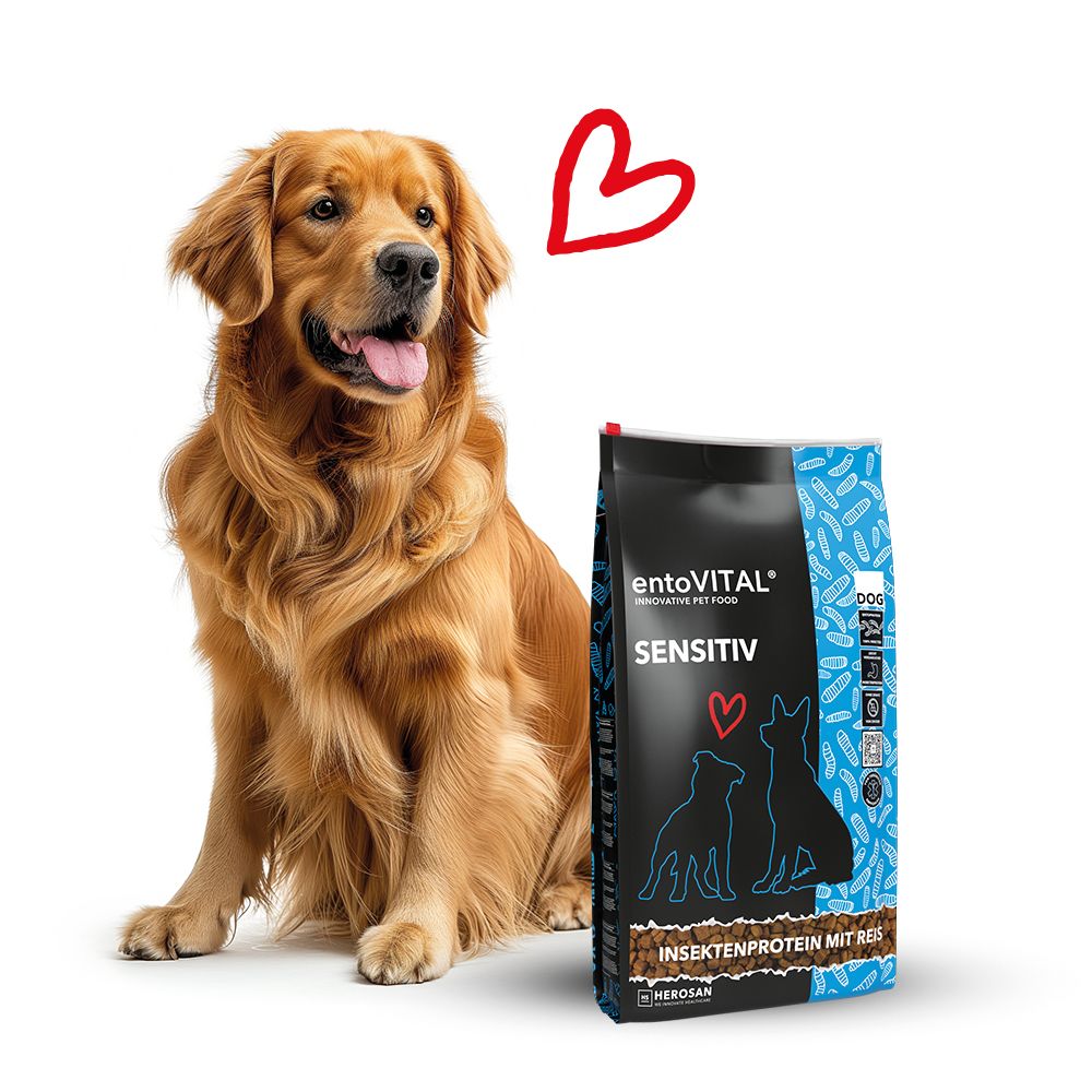Goldener Hund neben entoVITAL SENSITIV-Tüte. Text: Insektenprotein mit Reis. Logo: Herosan.