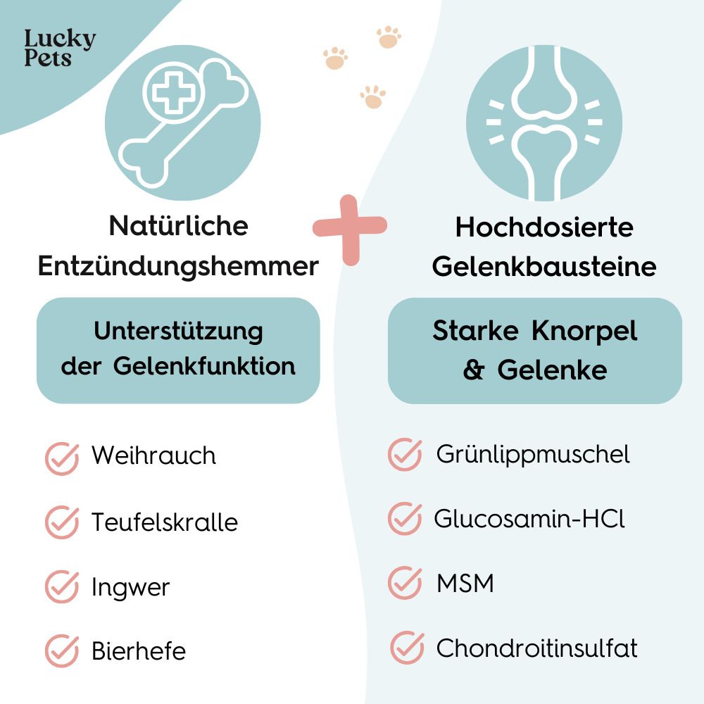 Grafik mit Knochen und Gelenken. Text: Natürliche Entzündungshemmer. Hochdosierte Gelenkbausteine. Unterstützung der Gelenkfunktion. Starke Knorpel & Gelenke.
